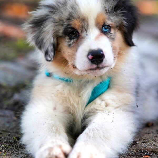 啊啊啊啊啊啊啊啊